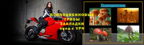 сатива Алексин