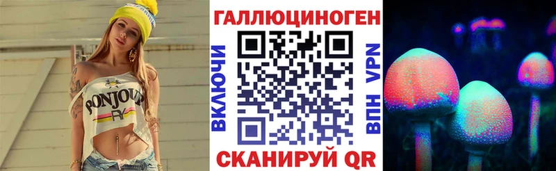 KRAKEN   Бикин  Псилоцибиновые грибы Cubensis 